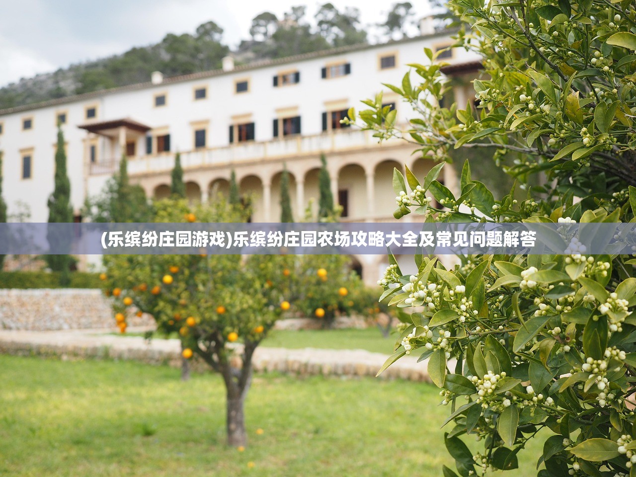 (2345神戒)神戒，超越界限的免费阅读之旅