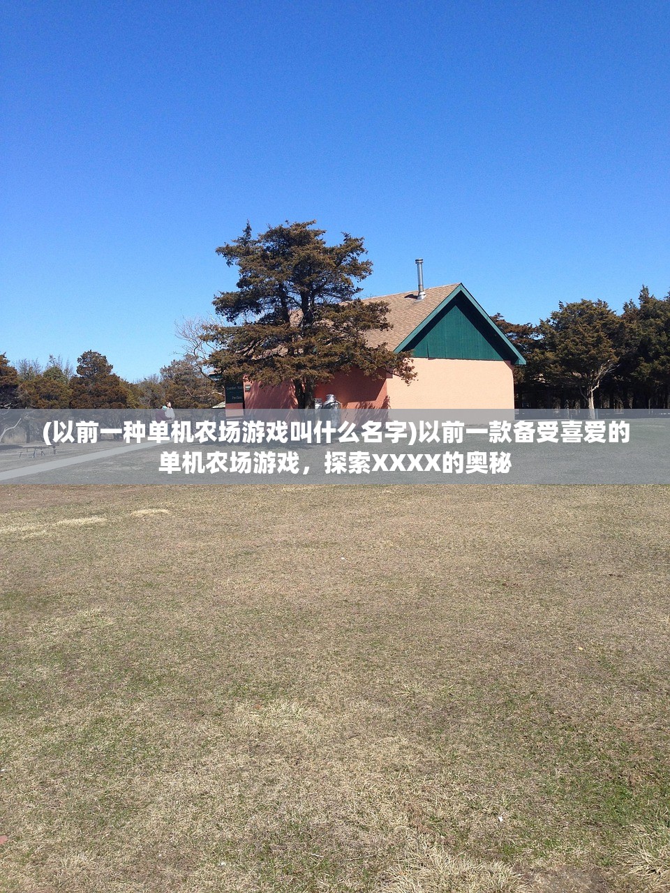 (百炼真气)百炼真仙，修炼之路的深度解析