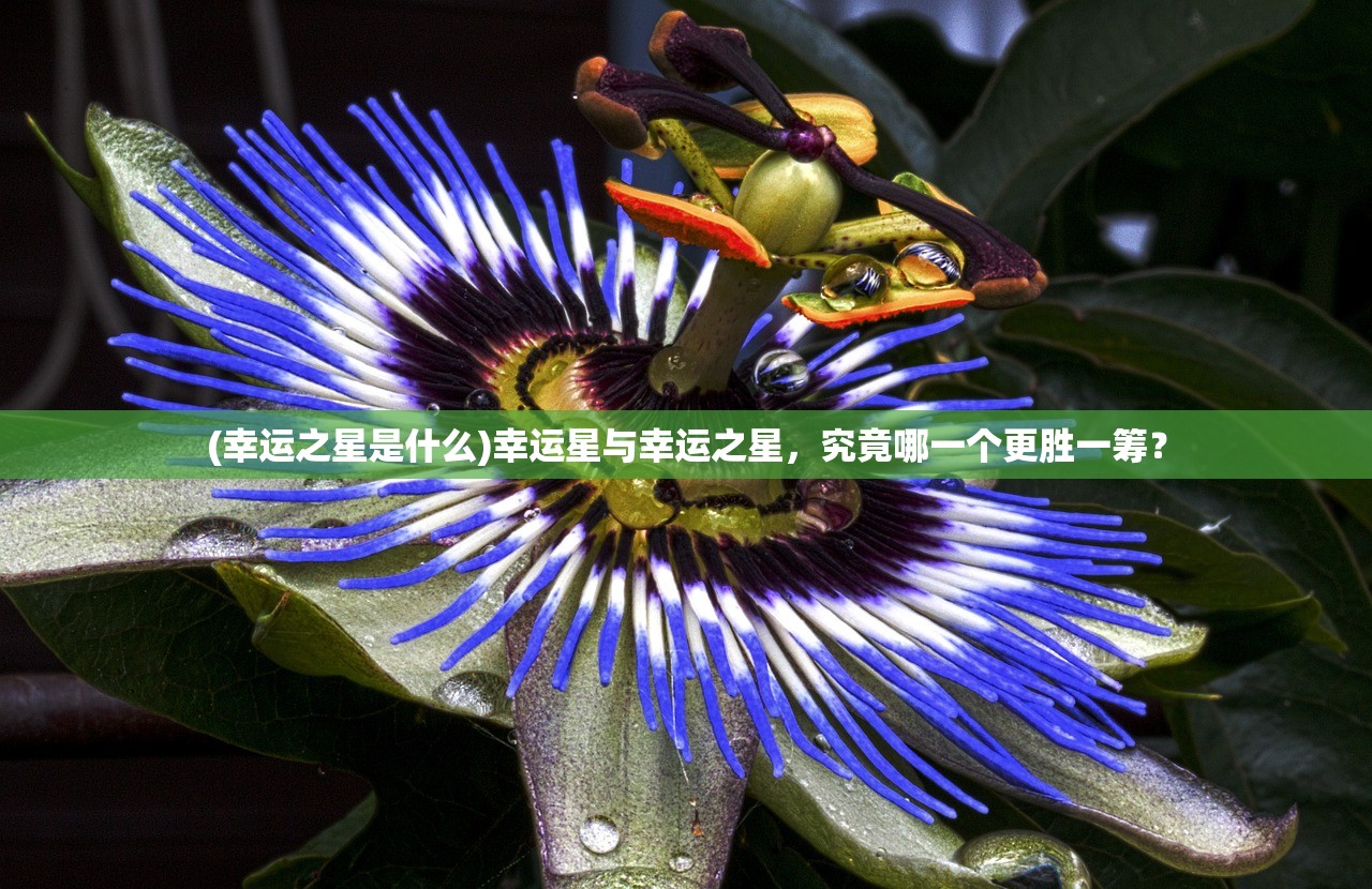 (6kw手游三国志名将令官网)6kw手游三国志名将令攻略大全,玩转三国,成为顶尖玩家 (6kw手游三国志名将令官网)6kw手游三国志名将令攻略大全,玩转三国,成为顶尖玩家