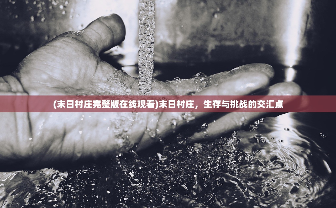 (青云诀仙侣区)青云诀仙侣版，深度解析与常见问题解答