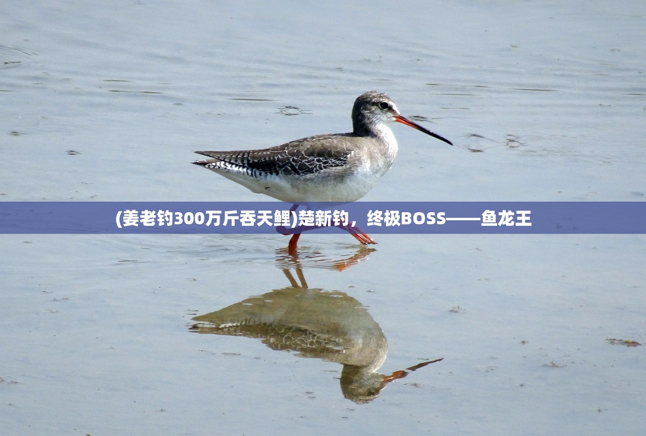 (魔法学院激活码)魔能学院激活码,获取与使用的全面指南 (魔法学院激活码)魔能学院激活码,获取与使用的全面指南