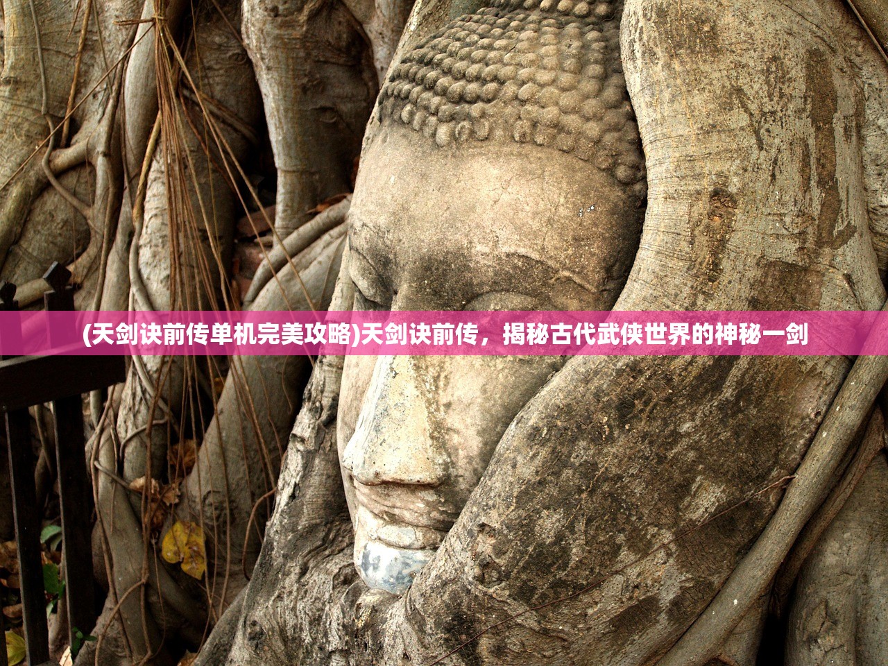 (坚持到底dj)关于手游坚持到底的百年等待答案的全面解析