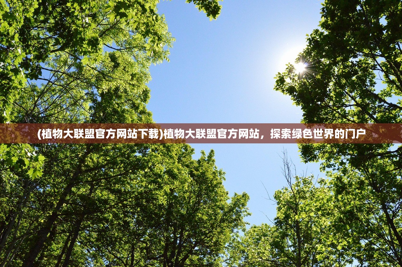 (吞噬星空0.1折版本更新内容)吞噬星空0.1折版本，深度解析与常见问题解答
