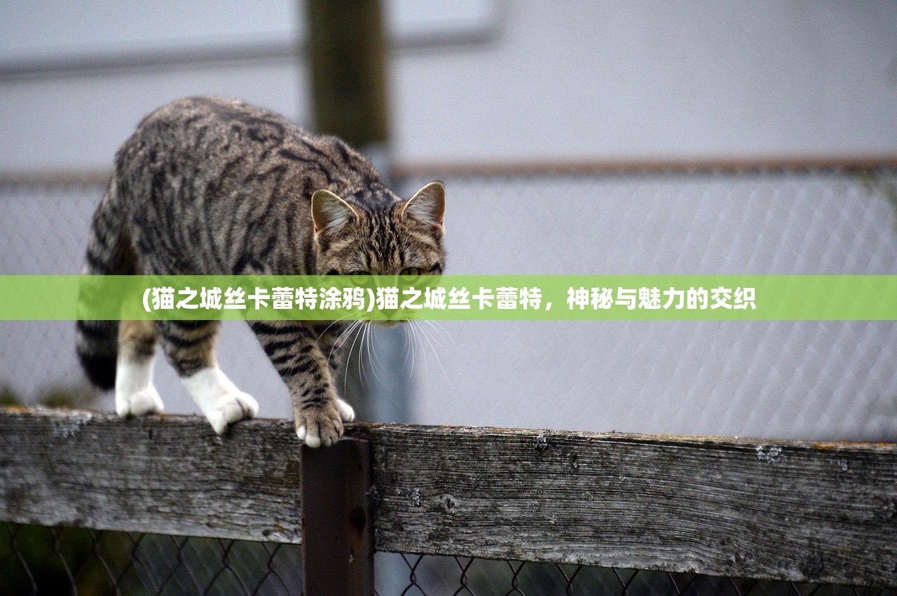 (醉三国游戏)醉计三国技能深度解析与探讨