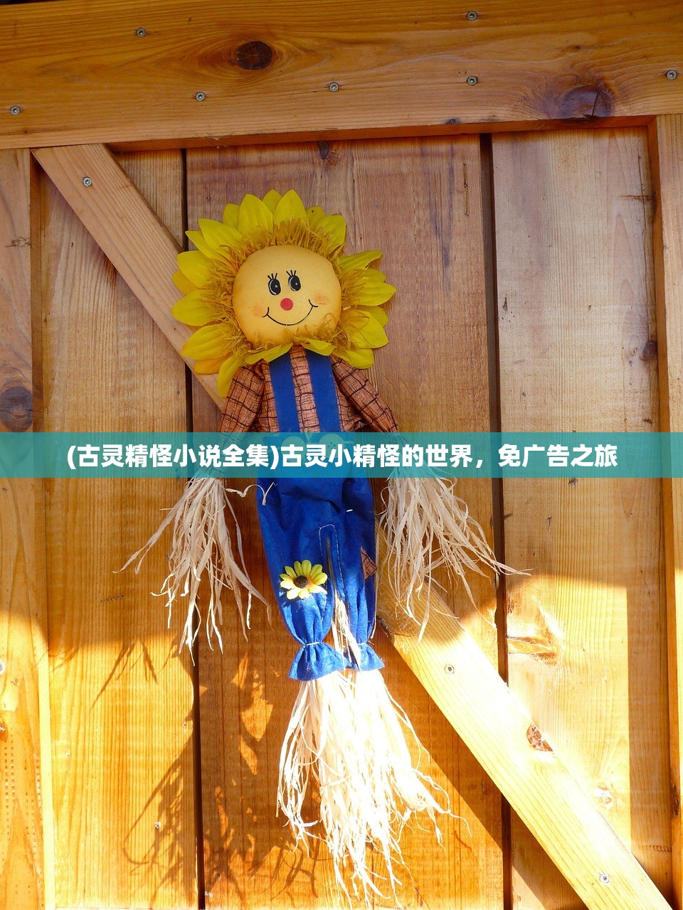 (村庄日记2图鉴攻略)村庄日记2图鉴，探索与发现