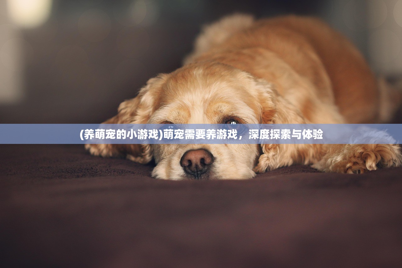 (养萌宠的小游戏)萌宠需要养游戏,深度探索与体验 (养萌宠的小游戏)萌宠需要养游戏,深度探索与体验