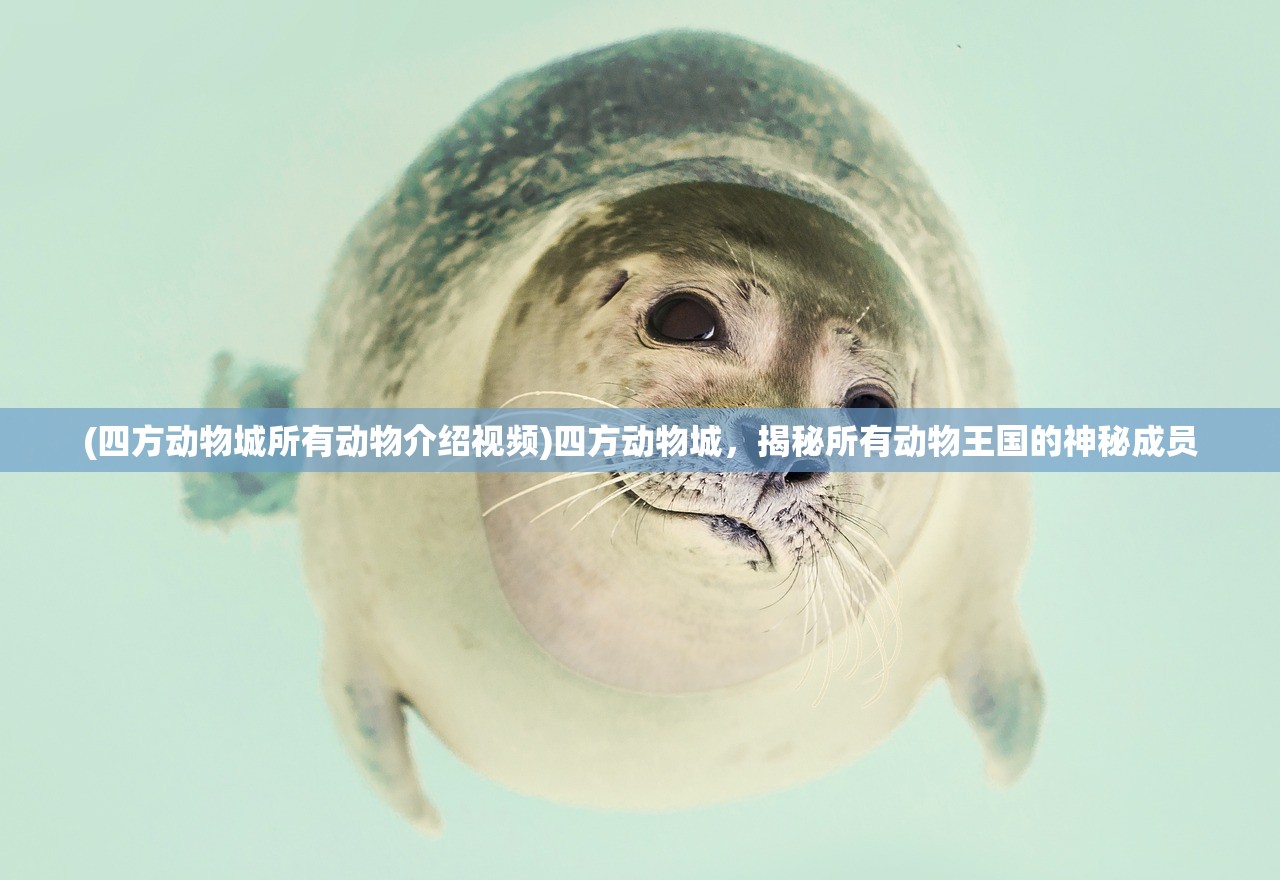(江湖百异图激活码如何获取)江湖百异图，激活码的秘密与探索