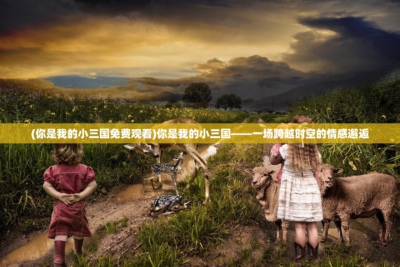 (你是我的小三国免费观看)你是我的小三国——一场跨越时空的情感邂逅