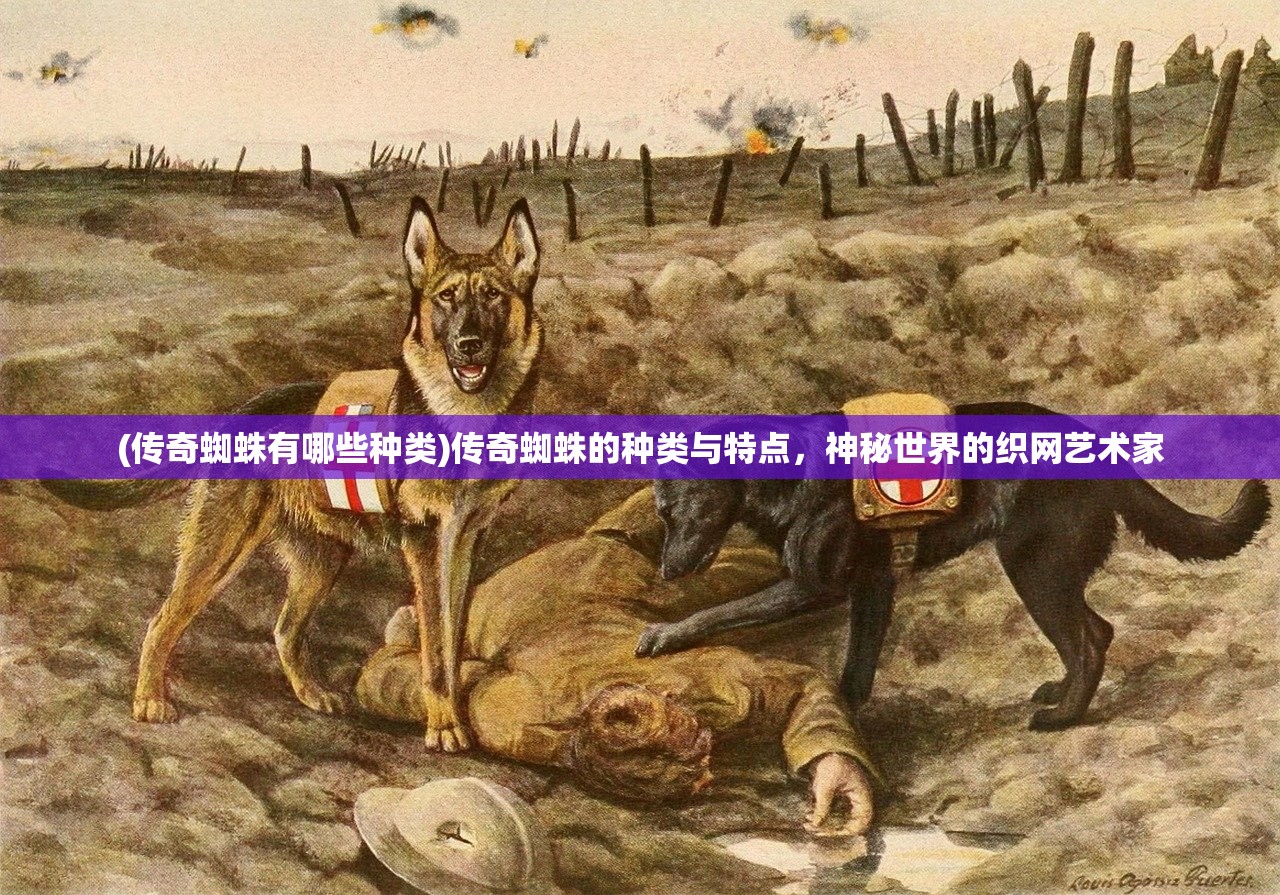 (航海征服者官网)航海征服者手机版，游戏探索与体验