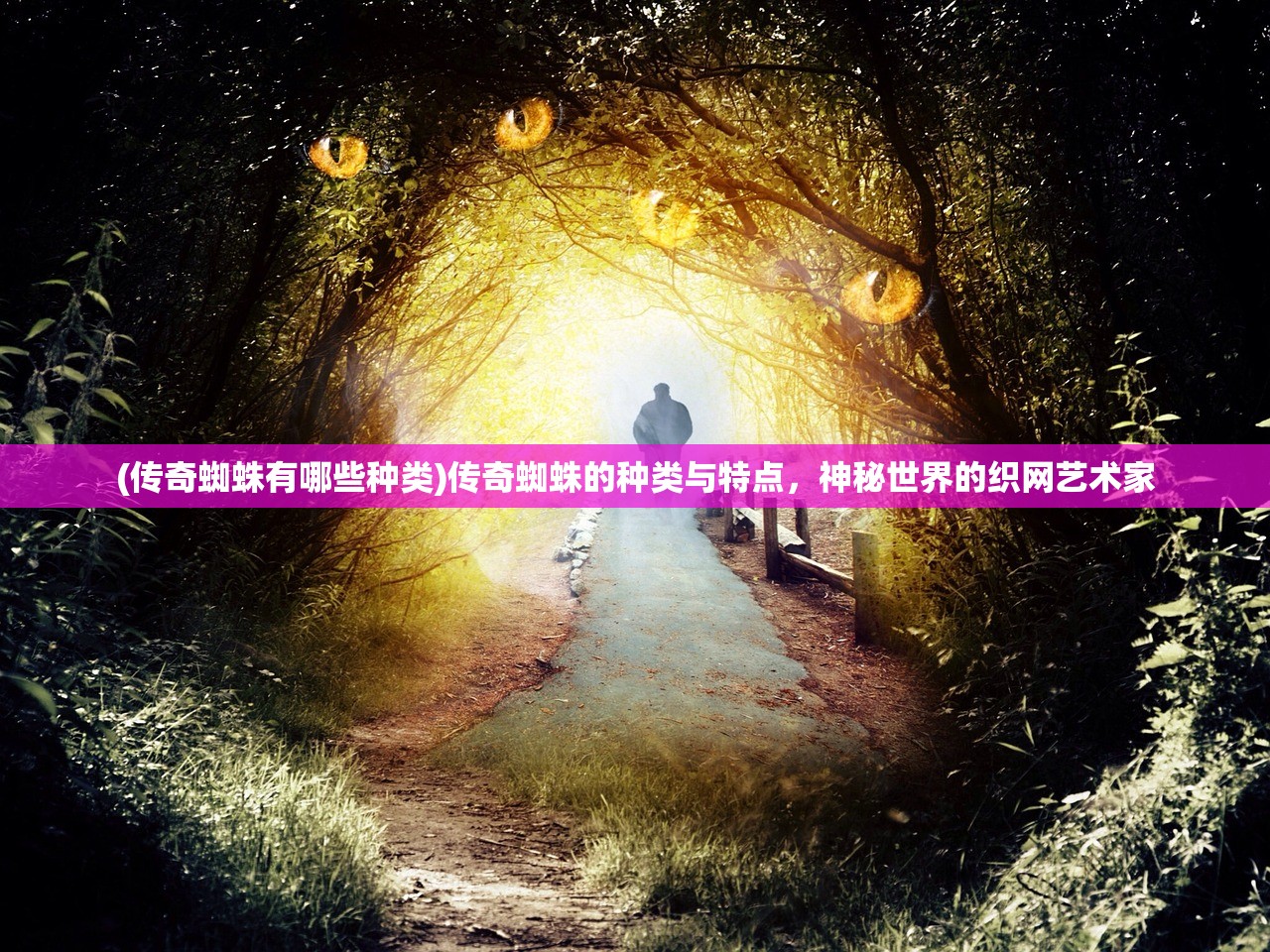 (美美小店破解版无限金币钻石下载)美美小店是否存在内购免费版，深度解析与常见问题解答