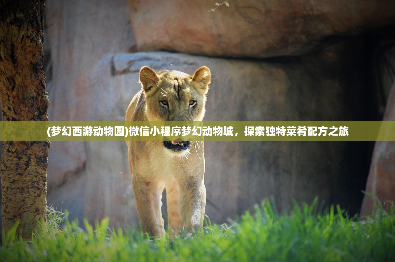 (梦幻西游动物园)微信小程序梦幻动物城，探索独特菜肴配方之旅