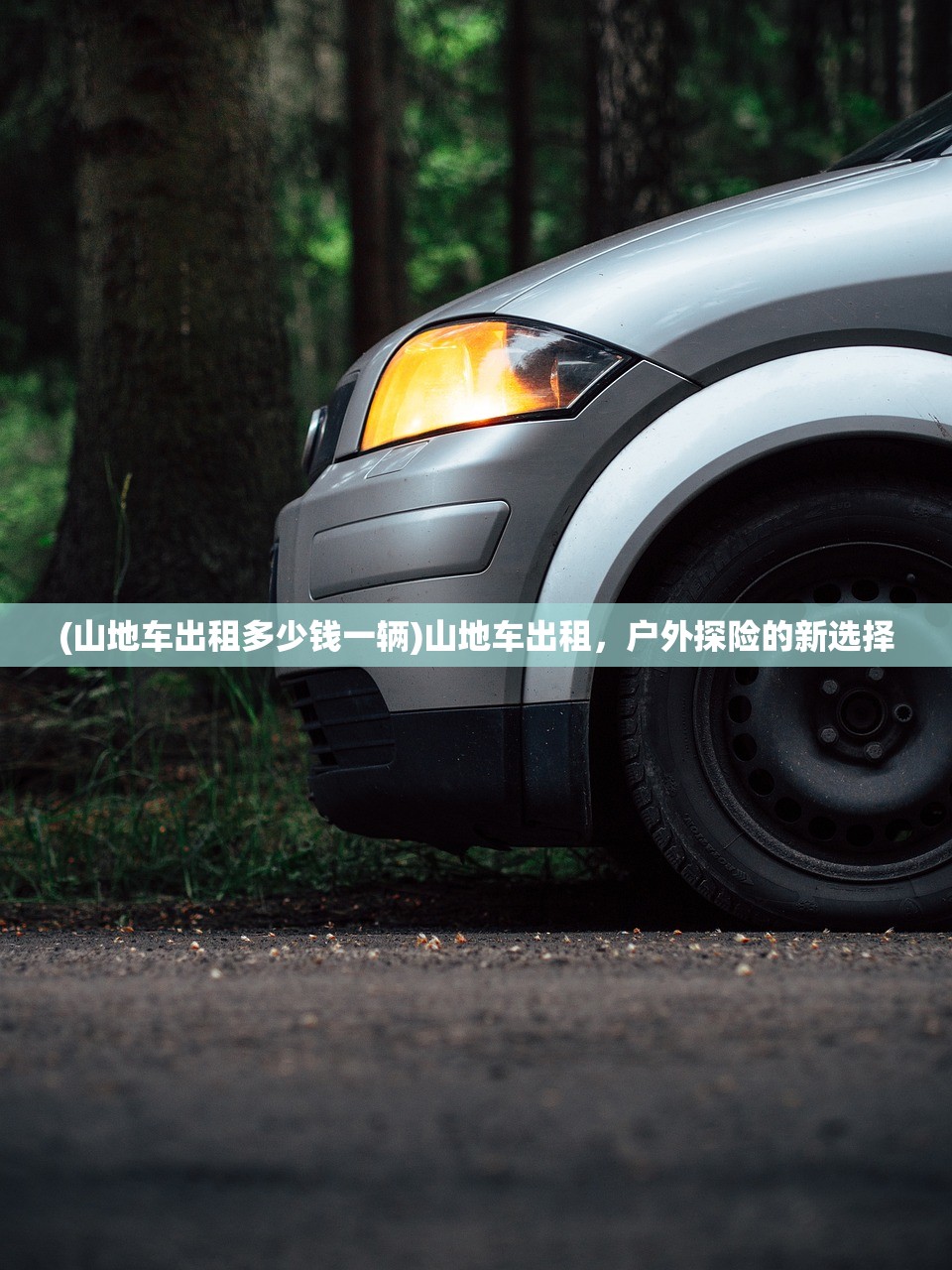 (山地车出租多少钱一辆)山地车出租，户外探险的新选择