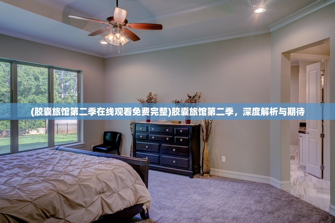 (胶囊旅馆第二季在线观看免费完整)胶囊旅馆第二季，深度解析与期待