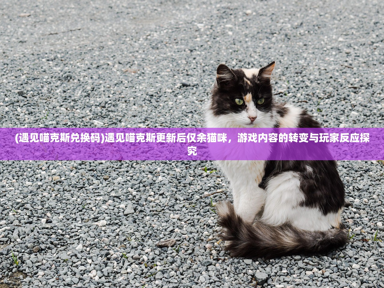 (原始蛮荒时代的玄幻小说)原始蛮荒文，探寻古老文明的神秘面纱
