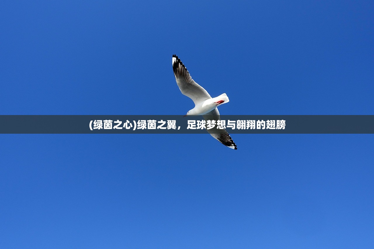 (绿茵之心)绿茵之翼，足球梦想与翱翔的翅膀