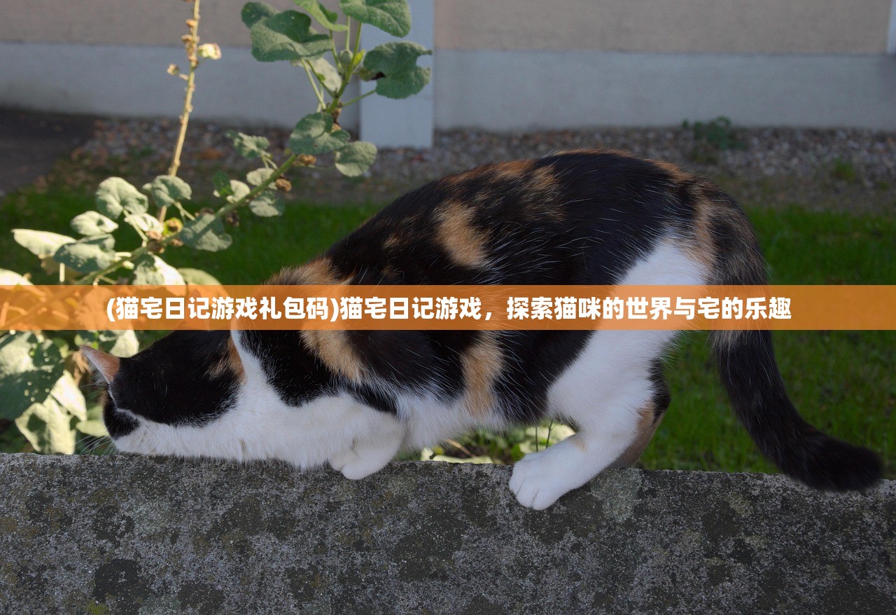 (女神盟约大蓝游戏官网)女神盟约大蓝游戏，深度解析与玩家指南