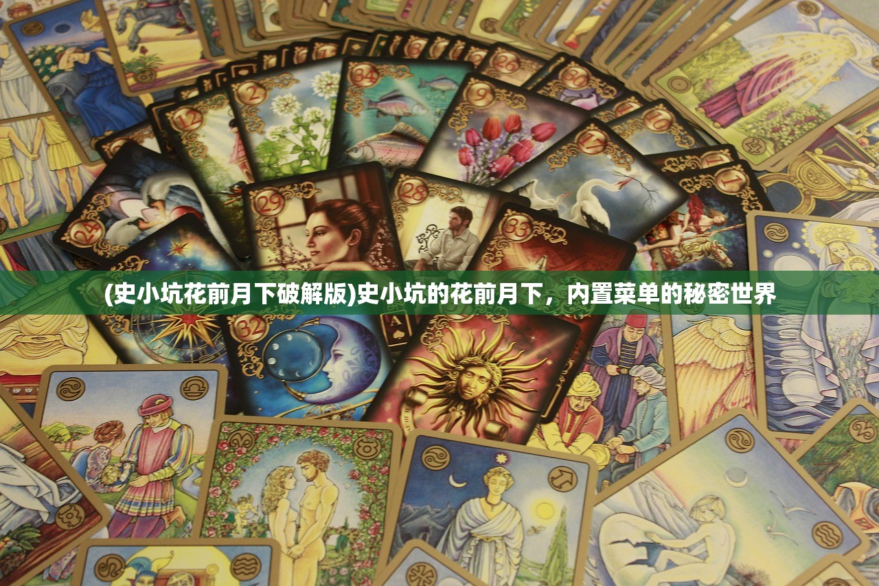 (史小坑花前月下破解版)史小坑的花前月下，内置菜单的秘密世界