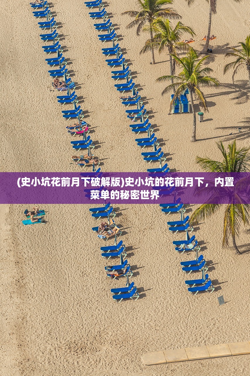 (史小坑花前月下破解版)史小坑的花前月下，内置菜单的秘密世界