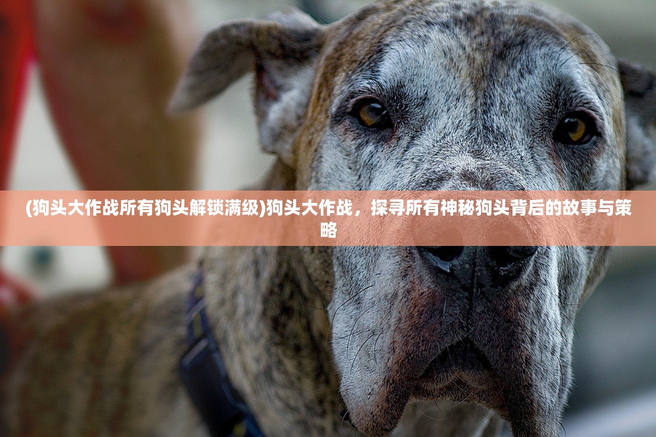 (入墨游戏)入墨桌游，探索传统与现代的交融之美