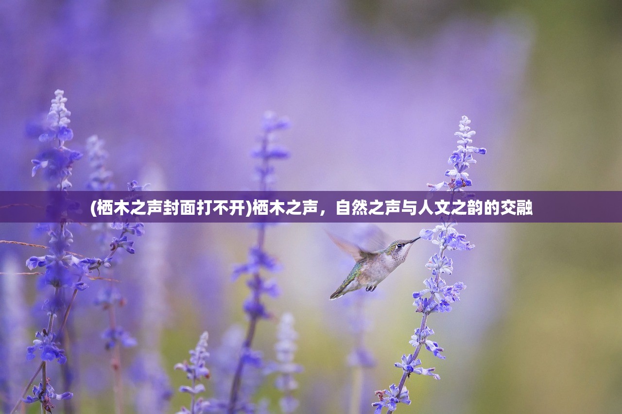 (栖木之声封面打不开)栖木之声，自然之声与人文之韵的交融