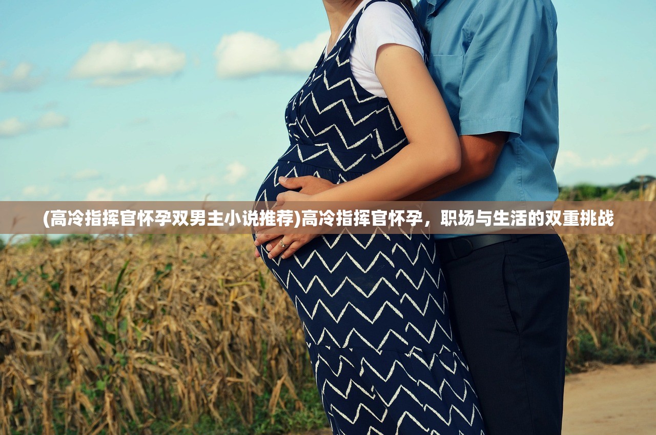 (高冷指挥官怀孕双男主小说推荐)高冷指挥官怀孕，职场与生活的双重挑战