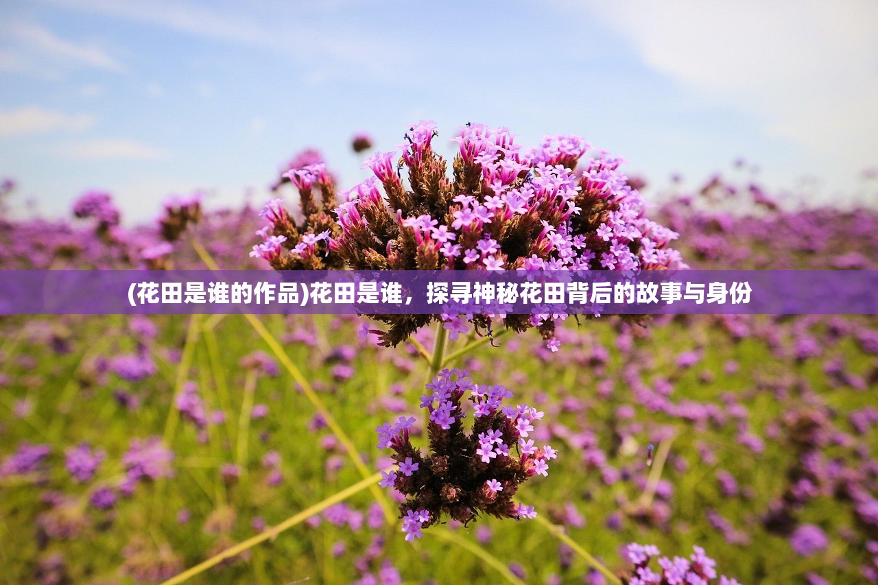 (一鸣惊人成语典故)一鸣惊人，揭秘成功的偶然与必然
