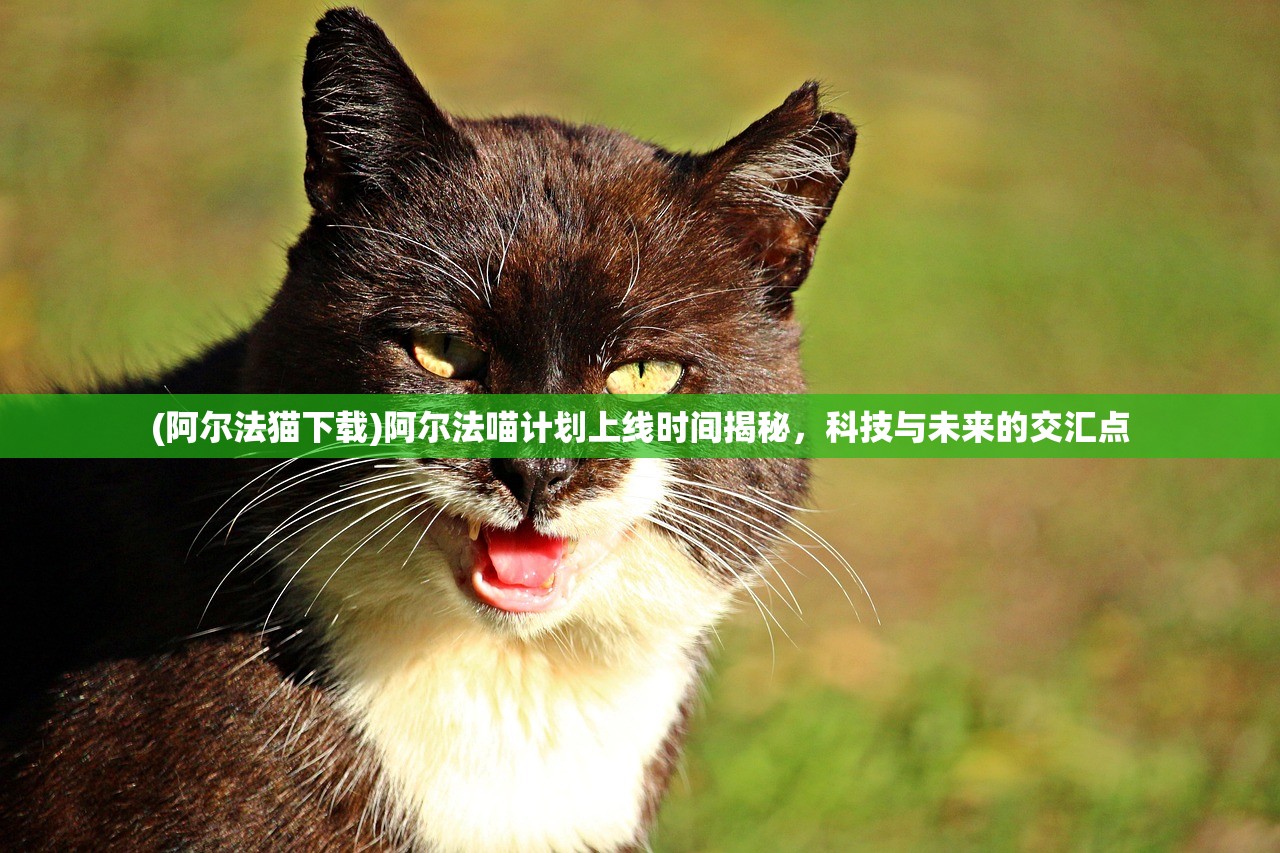 (红警二战版本)红警二战版，重温经典，探寻战略之道的深度解析