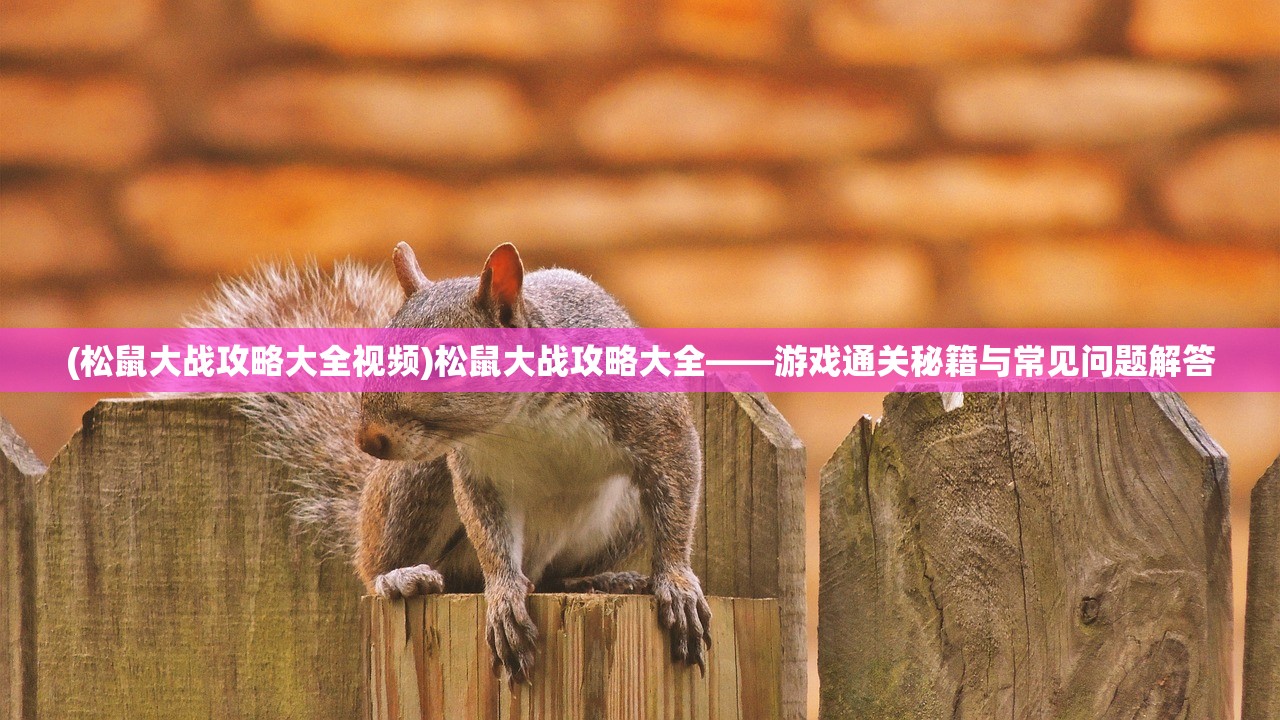 (松鼠大战攻略大全视频)松鼠大战攻略大全——游戏通关秘籍与常见问题解答 (松鼠大战攻略大全视频)松鼠大战攻略大全——游戏通关秘籍与常见问题解答