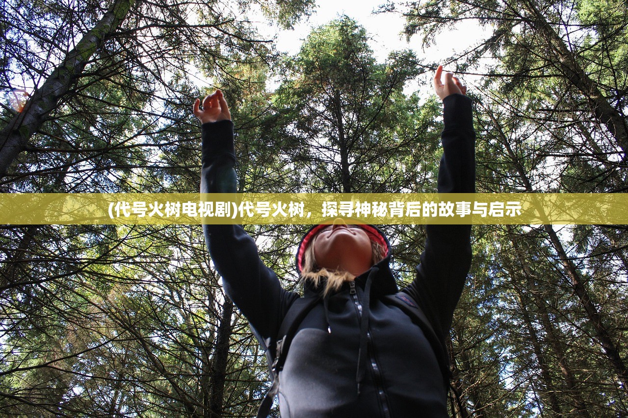 (三国列传下载安装)三国列传手游安卓版，深度解析与常见问题解答