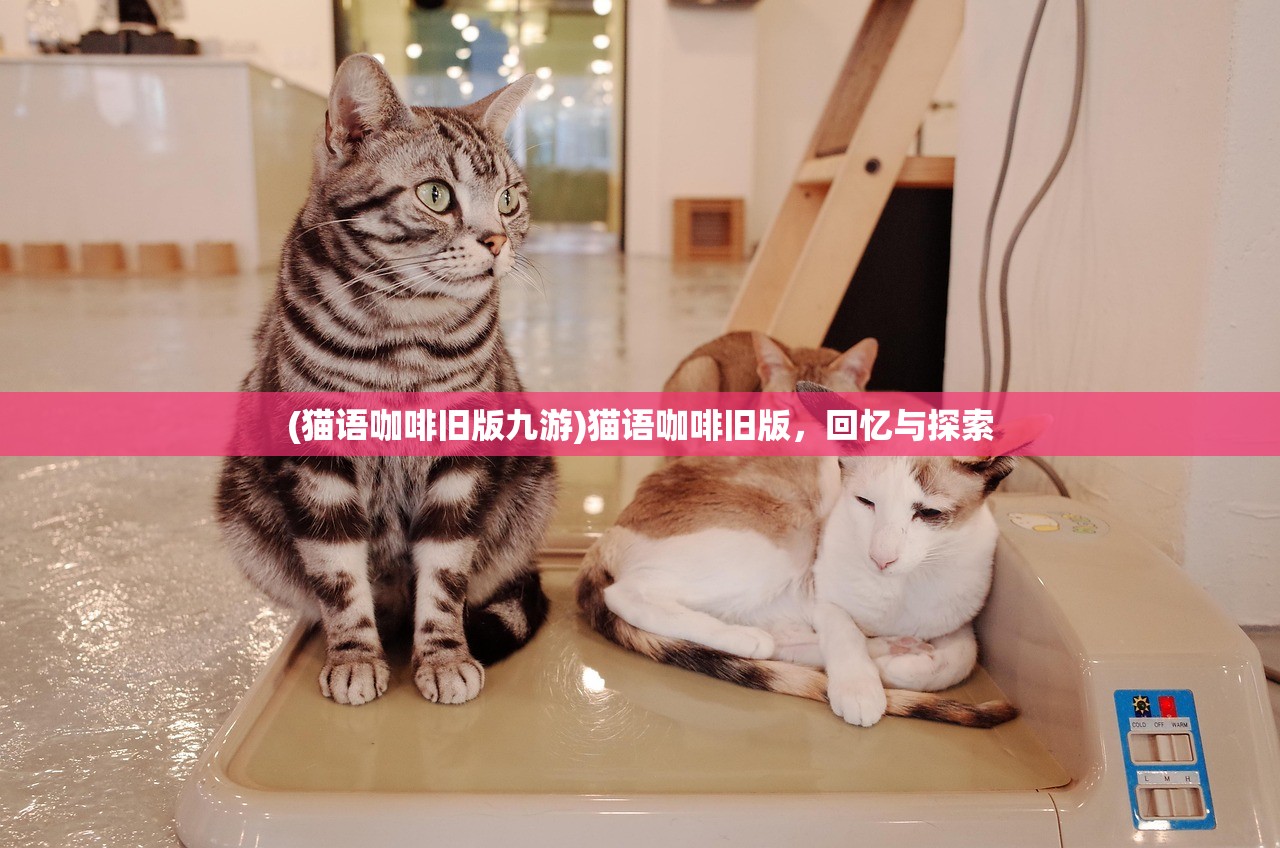 (《筑梦》)筑梦颂有手机版吗——全面解析与探讨