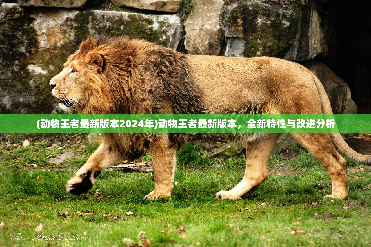 (甜甜的你游戏原名叫什么来着)甜甜的你游戏原名揭秘，探索这款游戏的魅力与特色