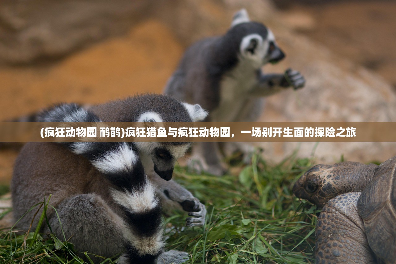 (疯狂动物园 鸸鹋)疯狂猎鱼与疯狂动物园，一场别开生面的探险之旅
