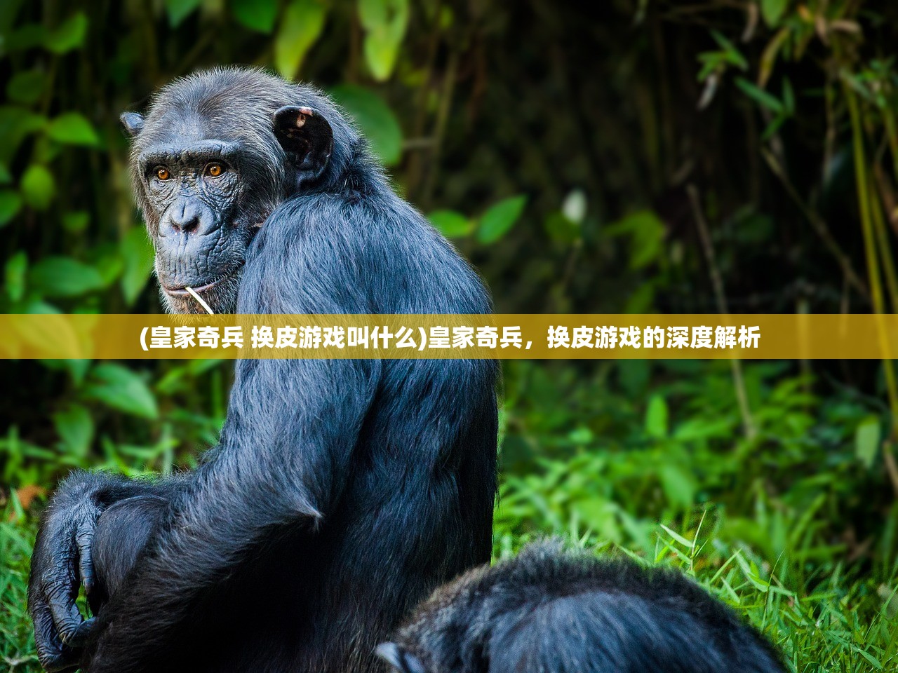 (皇家奇兵 换皮游戏叫什么)皇家奇兵，换皮游戏的深度解析