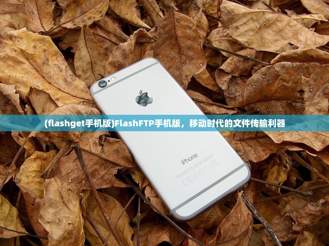 (flashget手机版)FlashFTP手机版，移动时代的文件传输利器