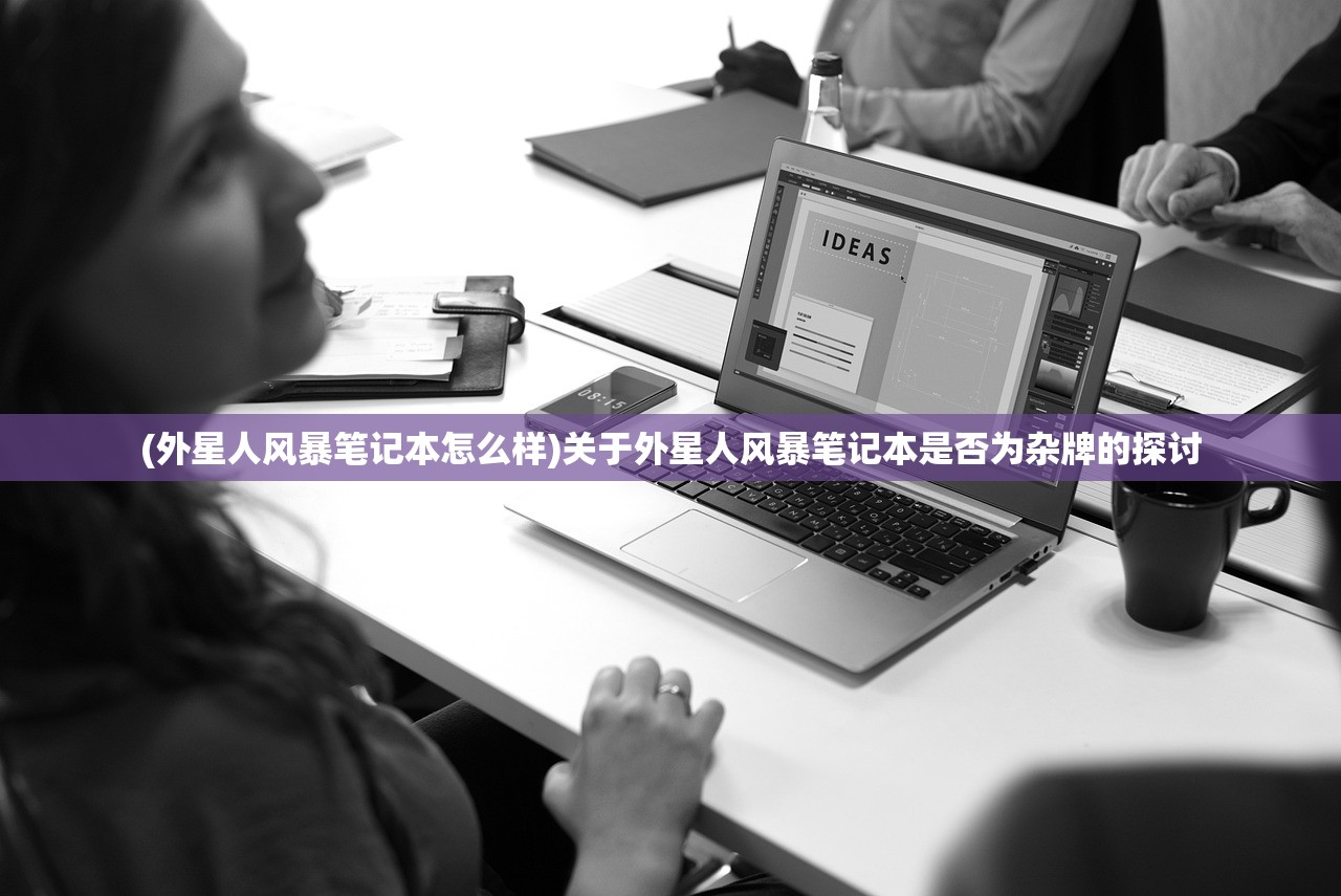 (外星人风暴笔记本怎么样)关于外星人风暴笔记本是否为杂牌的探讨