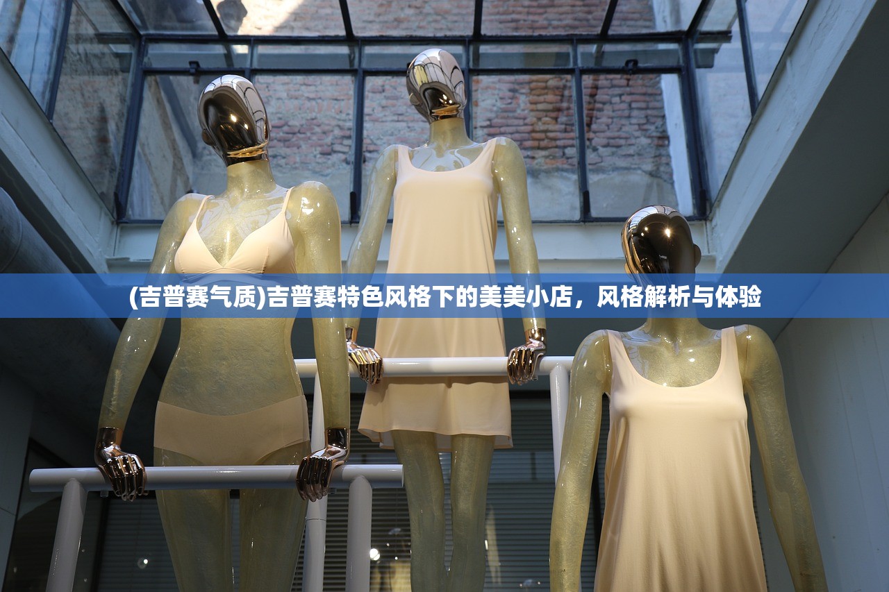 (吉普赛气质)吉普赛特色风格下的美美小店,风格解析与体验 (吉普赛气质)吉普赛特色风格下的美美小店,风格解析与体验