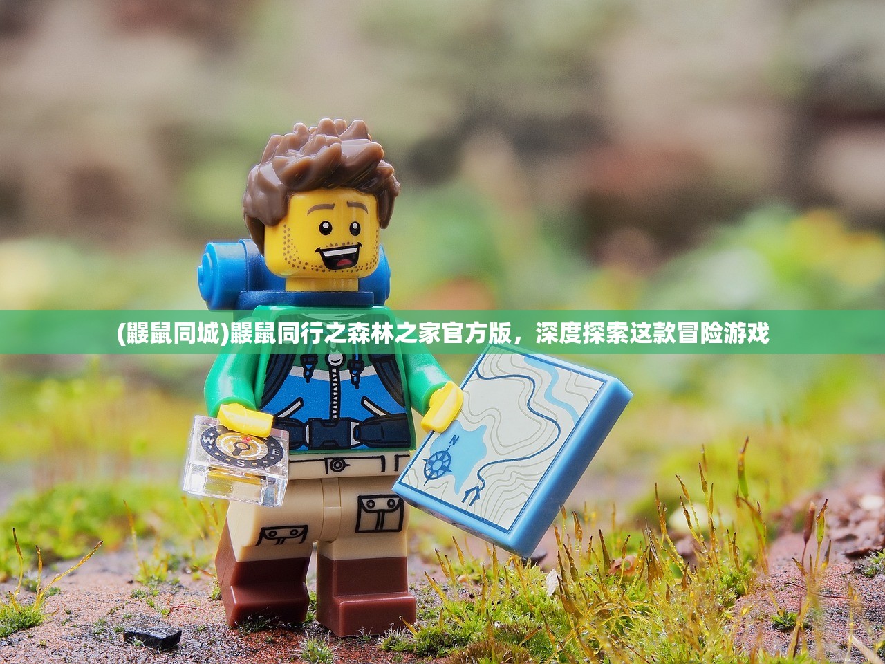 (鼹鼠同城)鼹鼠同行之森林之家官方版,深度探索这款冒险游戏 (鼹鼠同城)鼹鼠同行之森林之家官方版,深度探索这款冒险游戏