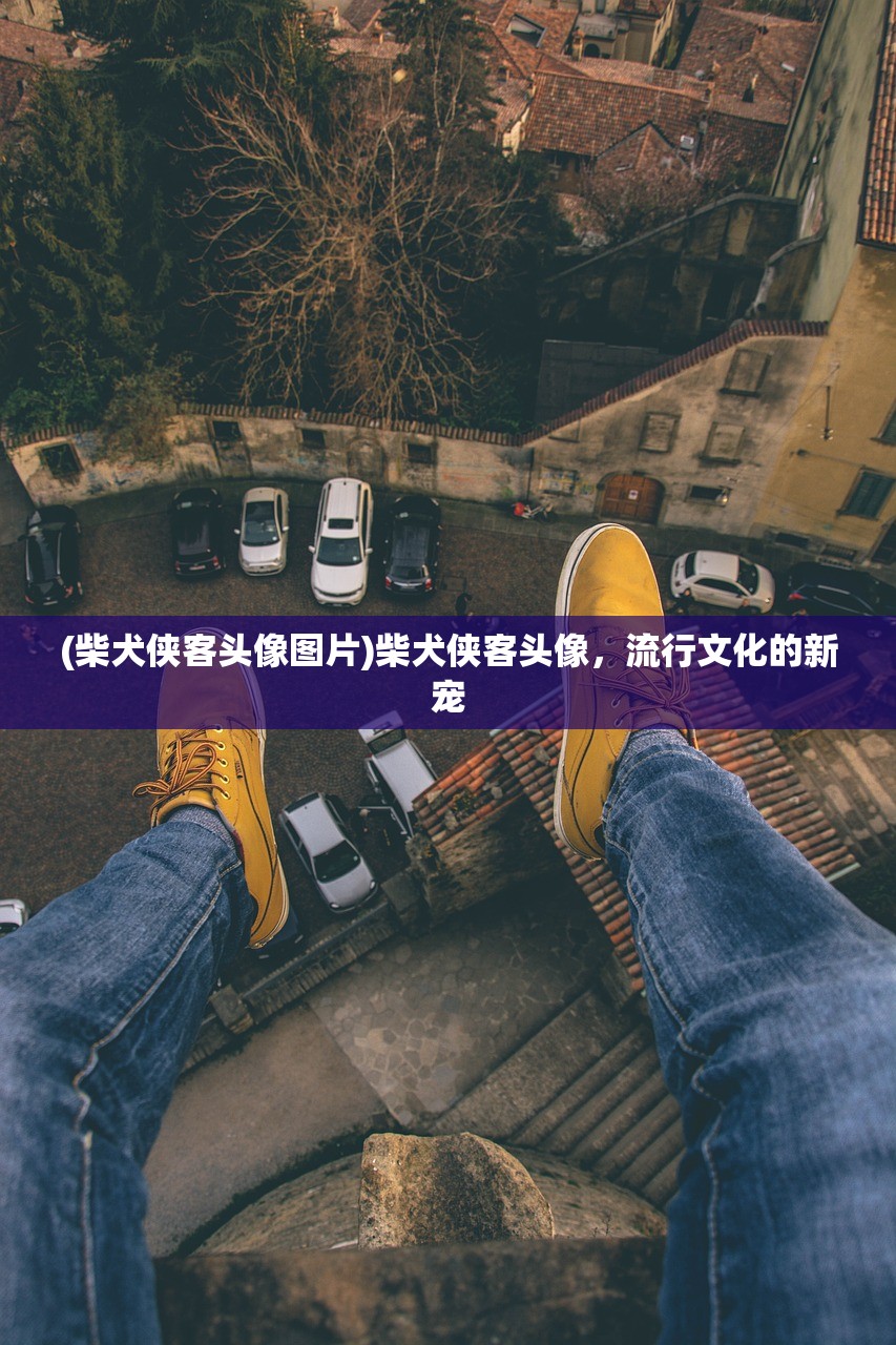 (柴犬侠客头像图片)柴犬侠客头像,流行文化的新宠 (柴犬侠客头像图片)柴犬侠客头像,流行文化的新宠