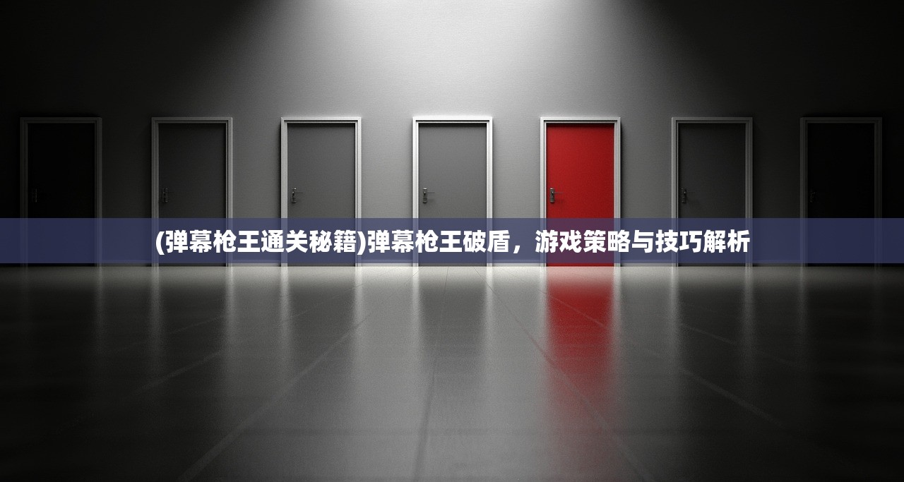 (弹幕枪王通关秘籍)弹幕枪王破盾，游戏策略与技巧解析