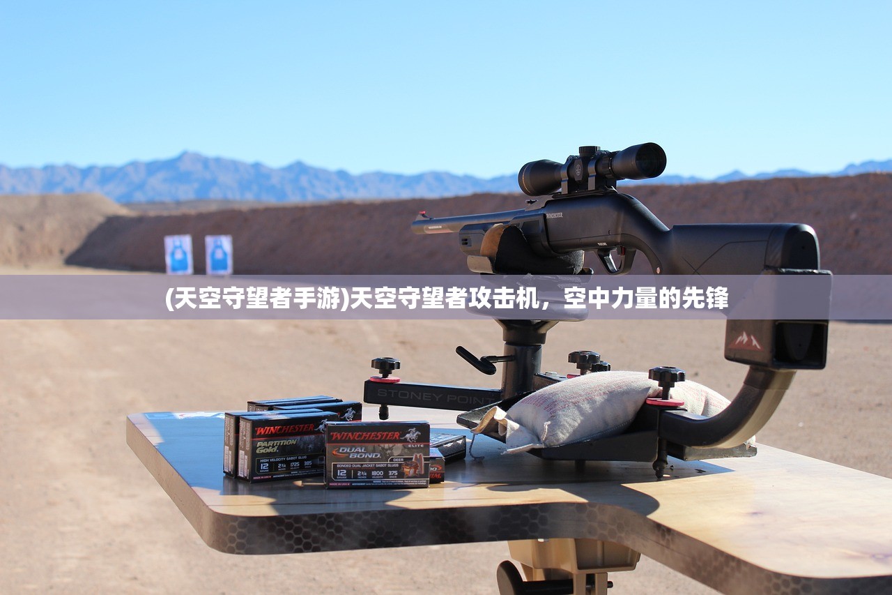 (冒险的召唤桌游规则)冒险与召唤攻略图文详解及常见问答（FAQ）