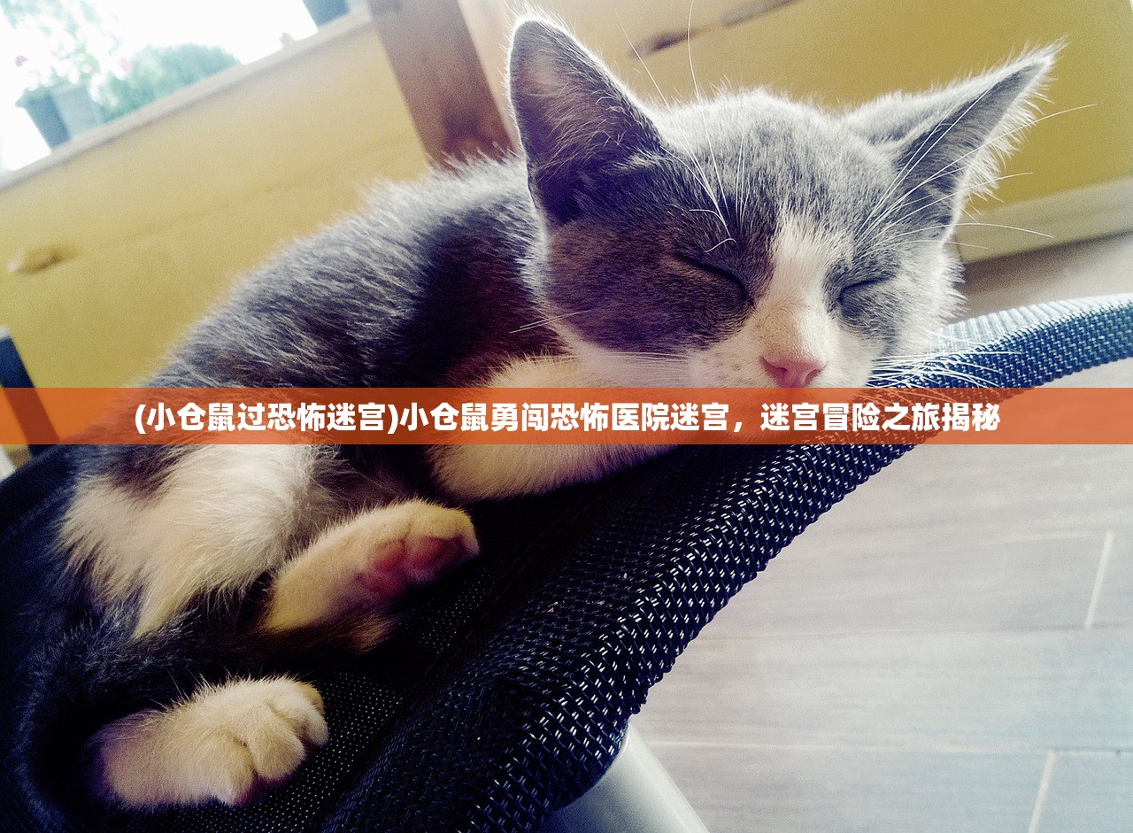 (女神的斗士樱花校园模拟器最新版)女神的斗士樱花校园模拟器，虚拟世界的勇者之路