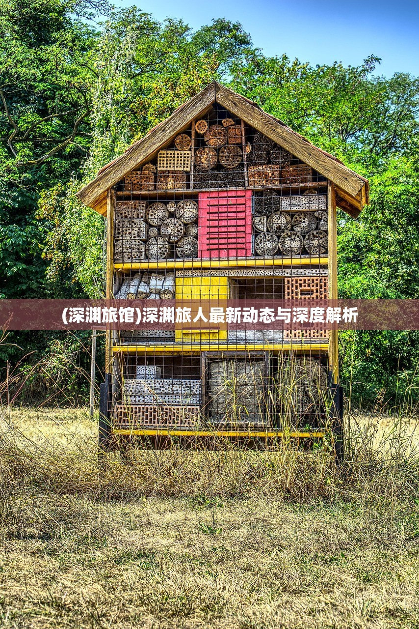(深渊旅馆)深渊旅人最新动态与深度解析