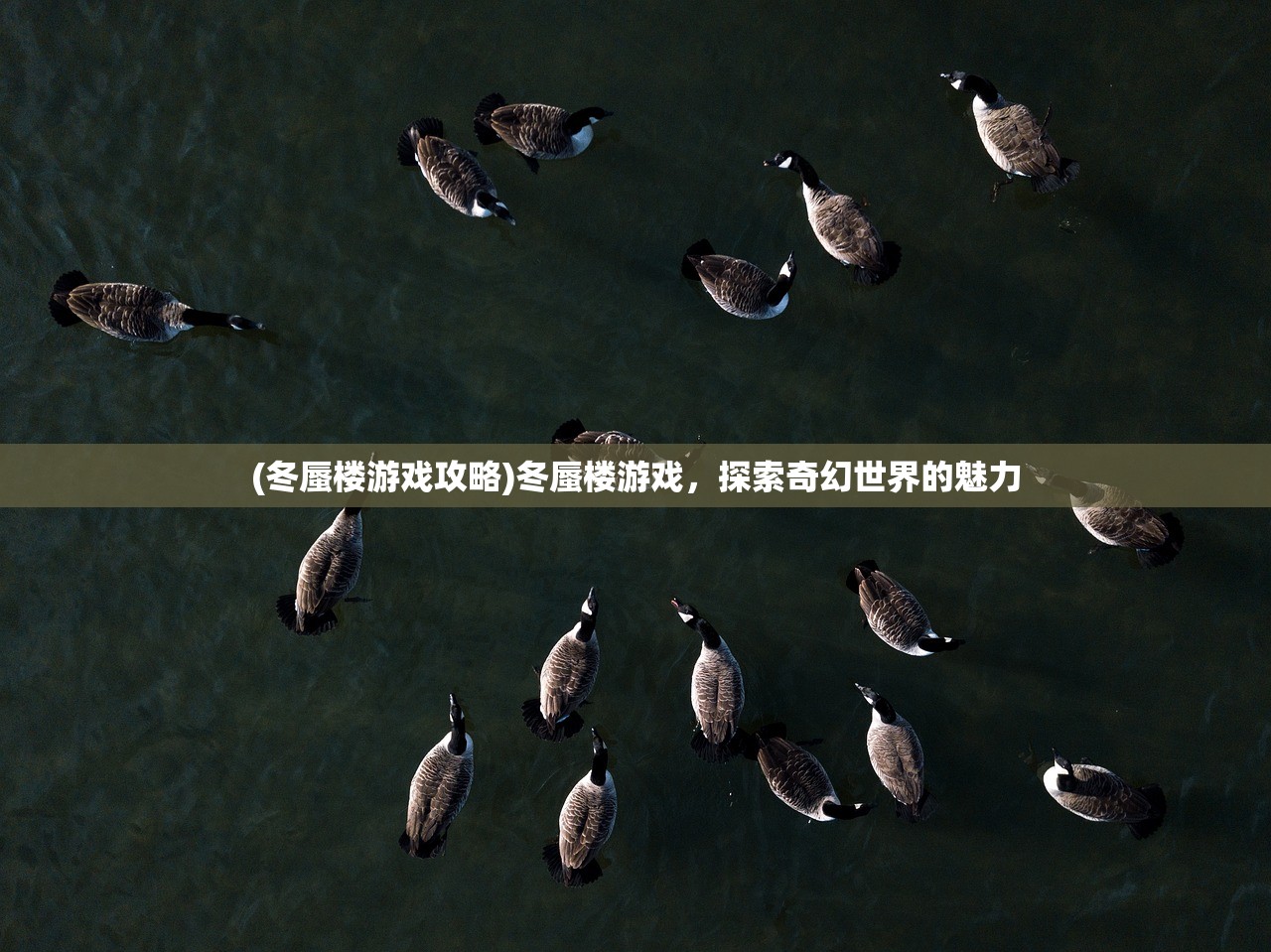 (冬蜃楼游戏攻略)冬蜃楼游戏，探索奇幻世界的魅力