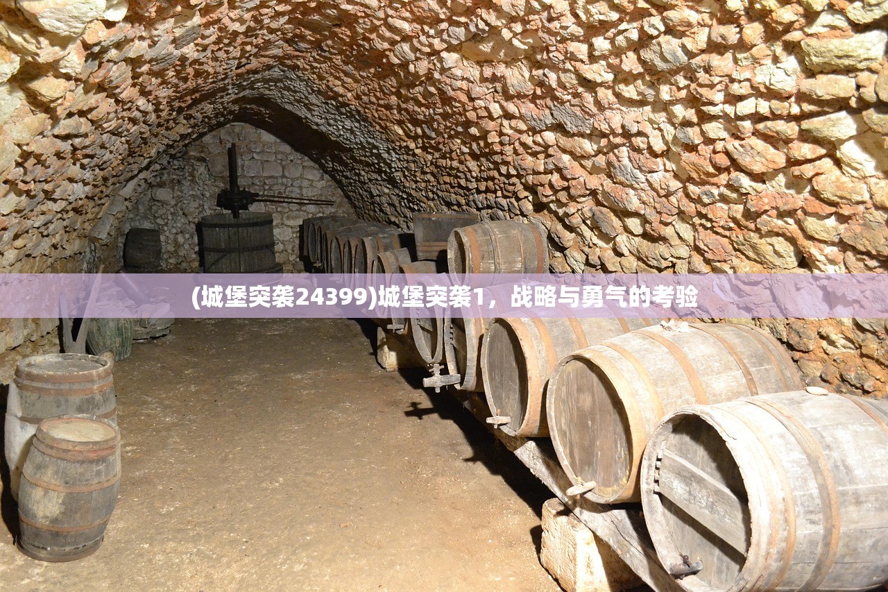 (城堡突袭24399)城堡突袭1，战略与勇气的考验