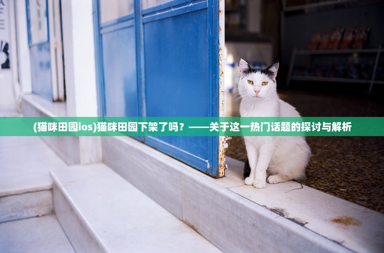 (猫咪田园ios)猫咪田园下架了吗？——关于这一热门话题的探讨与解析