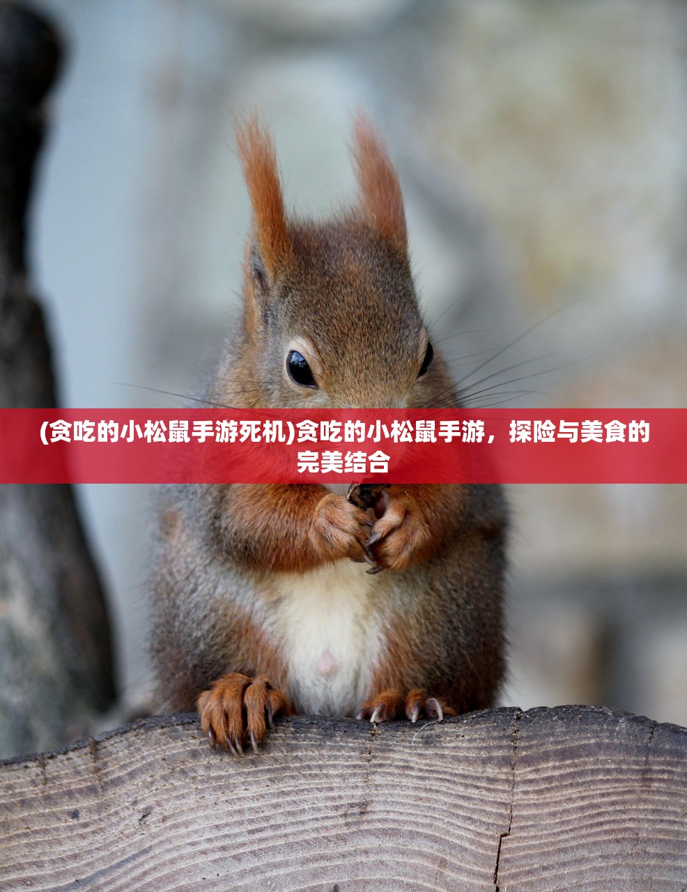 (贪吃的小松鼠手游死机)贪吃的小松鼠手游，探险与美食的完美结合