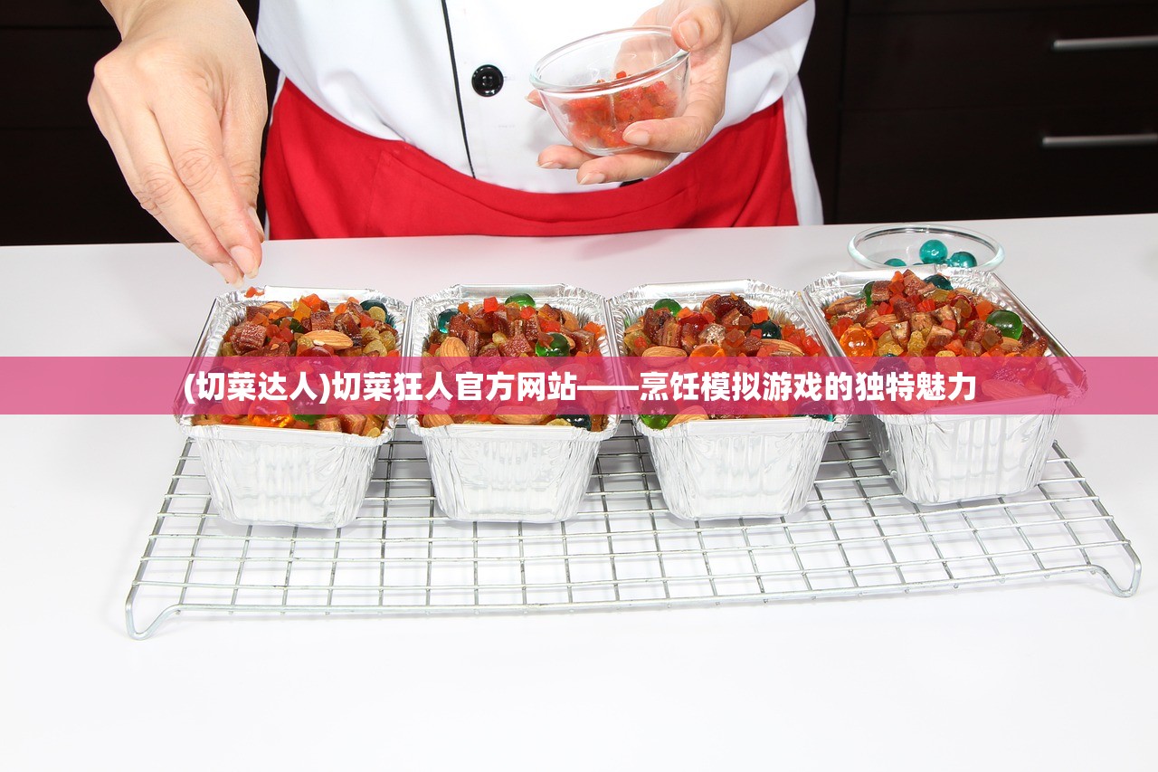 (口袋四驱车大陆版官网)口袋四驱车官方版本，深度解析与常见问题解答