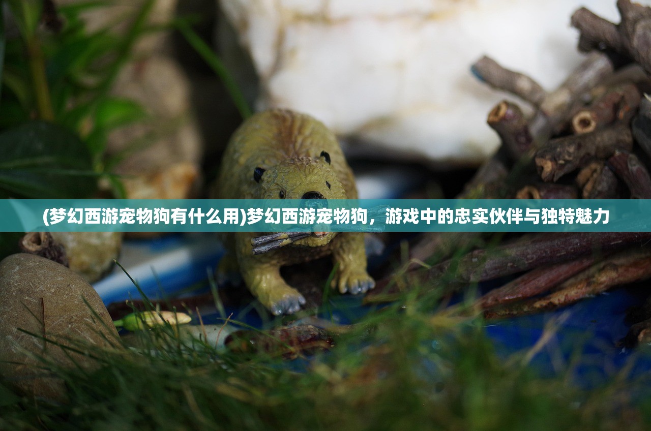 (梦幻西游宠物狗有什么用)梦幻西游宠物狗，游戏中的忠实伙伴与独特魅力