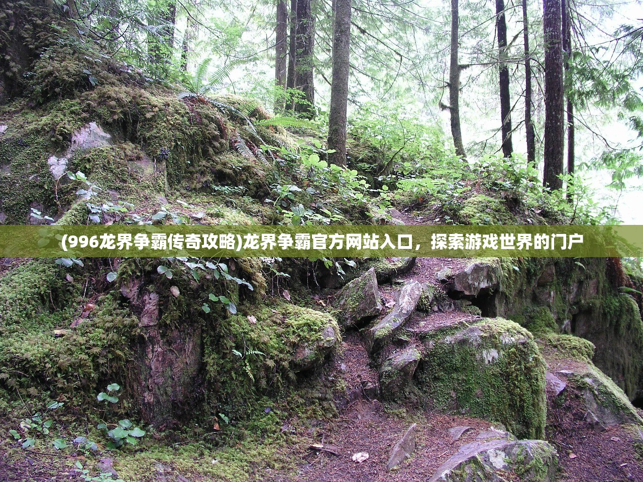 (996龙界争霸传奇攻略)龙界争霸官方网站入口，探索游戏世界的门户