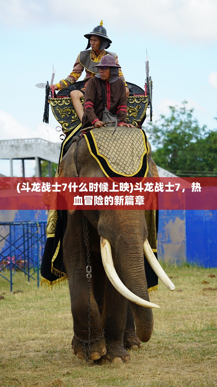 (斗龙战士7什么时候上映)斗龙战士7，热血冒险的新篇章